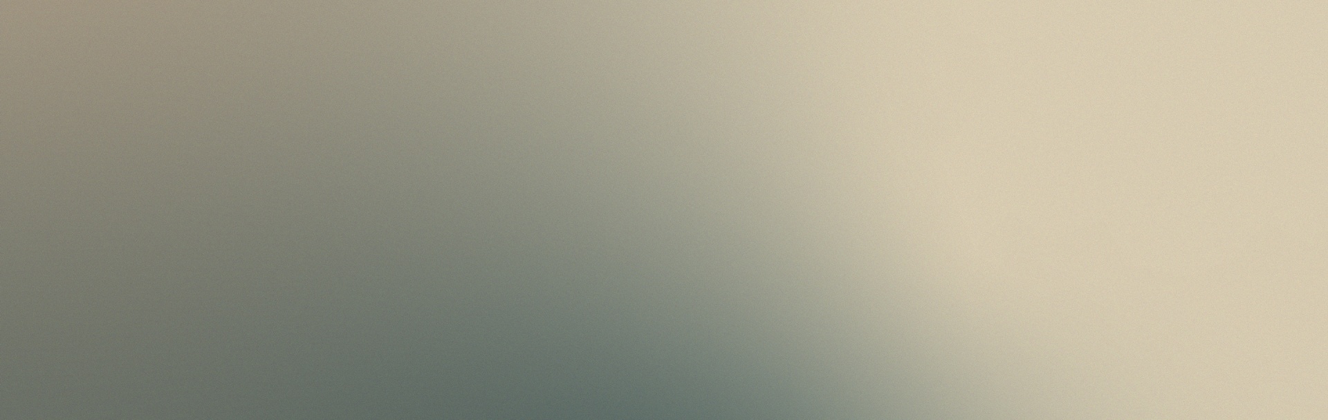 Copy on blue and beige background.