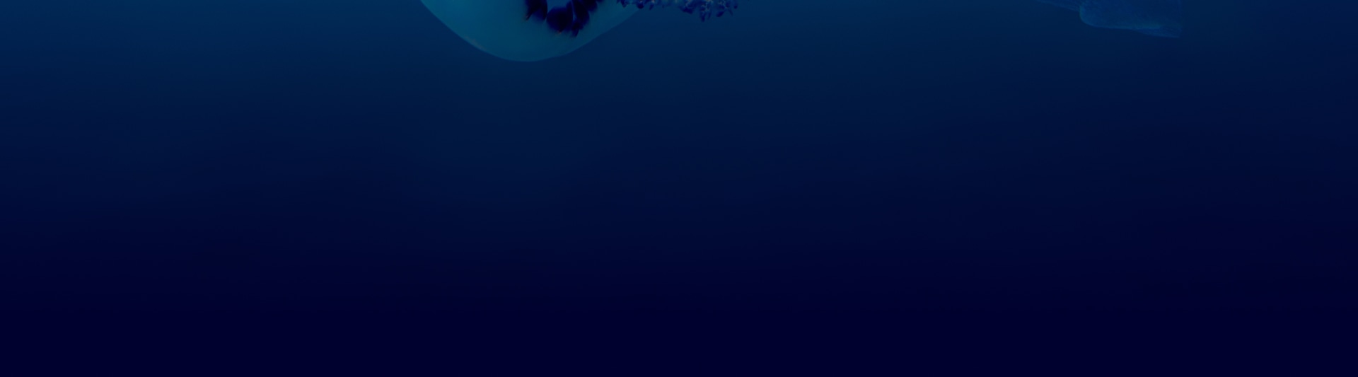 A dark, deep blue background with a faint, blurred shape in the center.