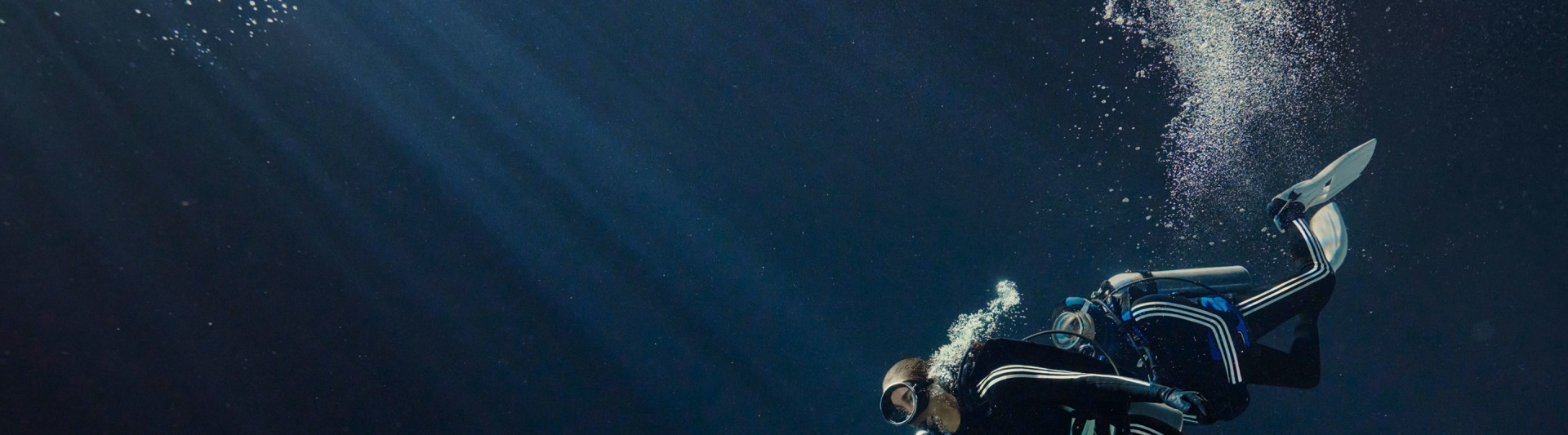 นักดำน้ำสวมชุดว่ายน้ำสีดำที่มีลายแถบอาดิดาสสีขาวใกล้กับปะการังสีสันสดใส