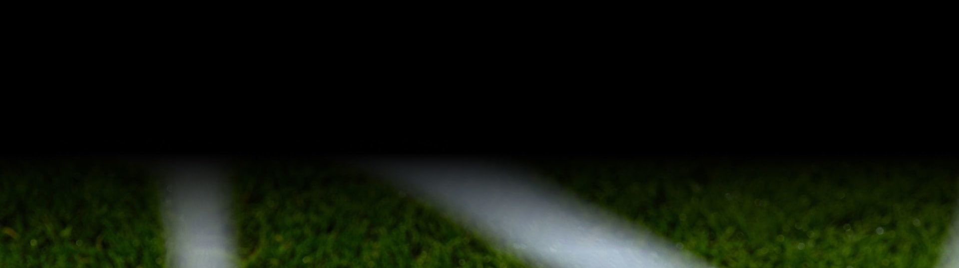 Blurred green foliage in the foreground against a dark background.