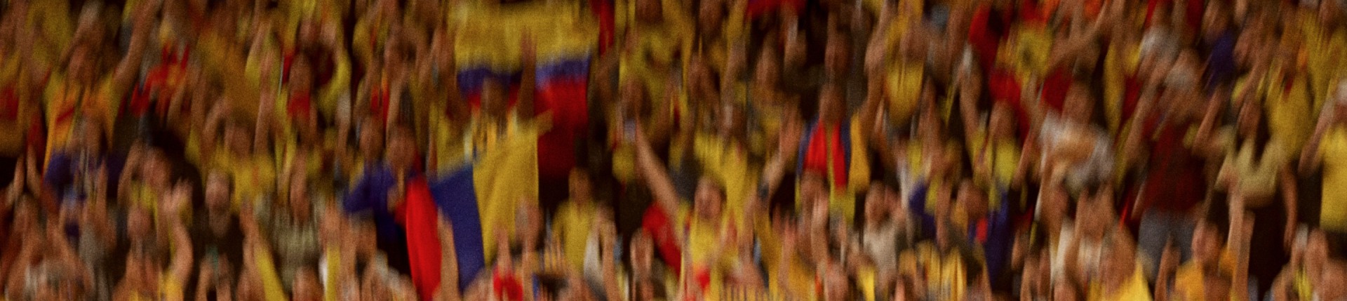 Blurry image of fans in stands