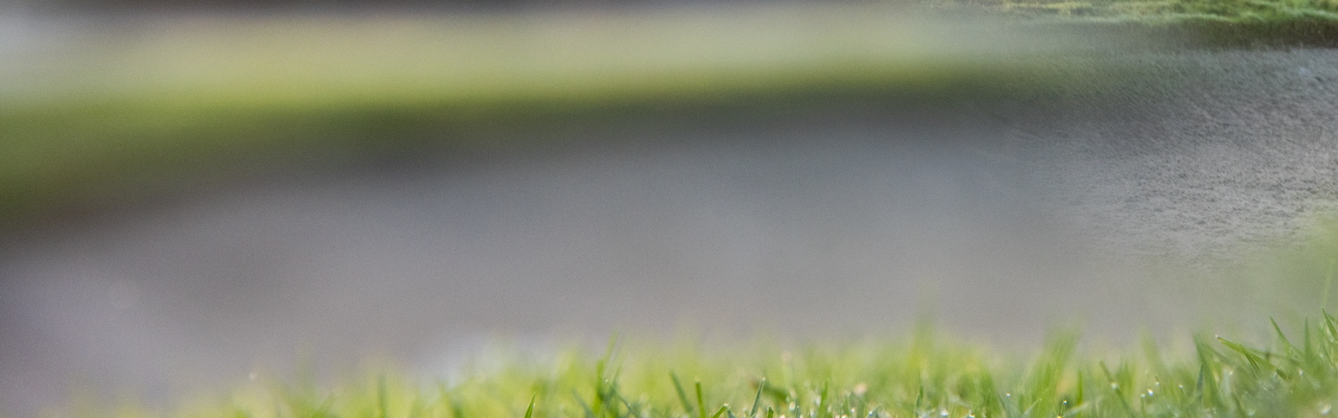 Golf Course imagery.