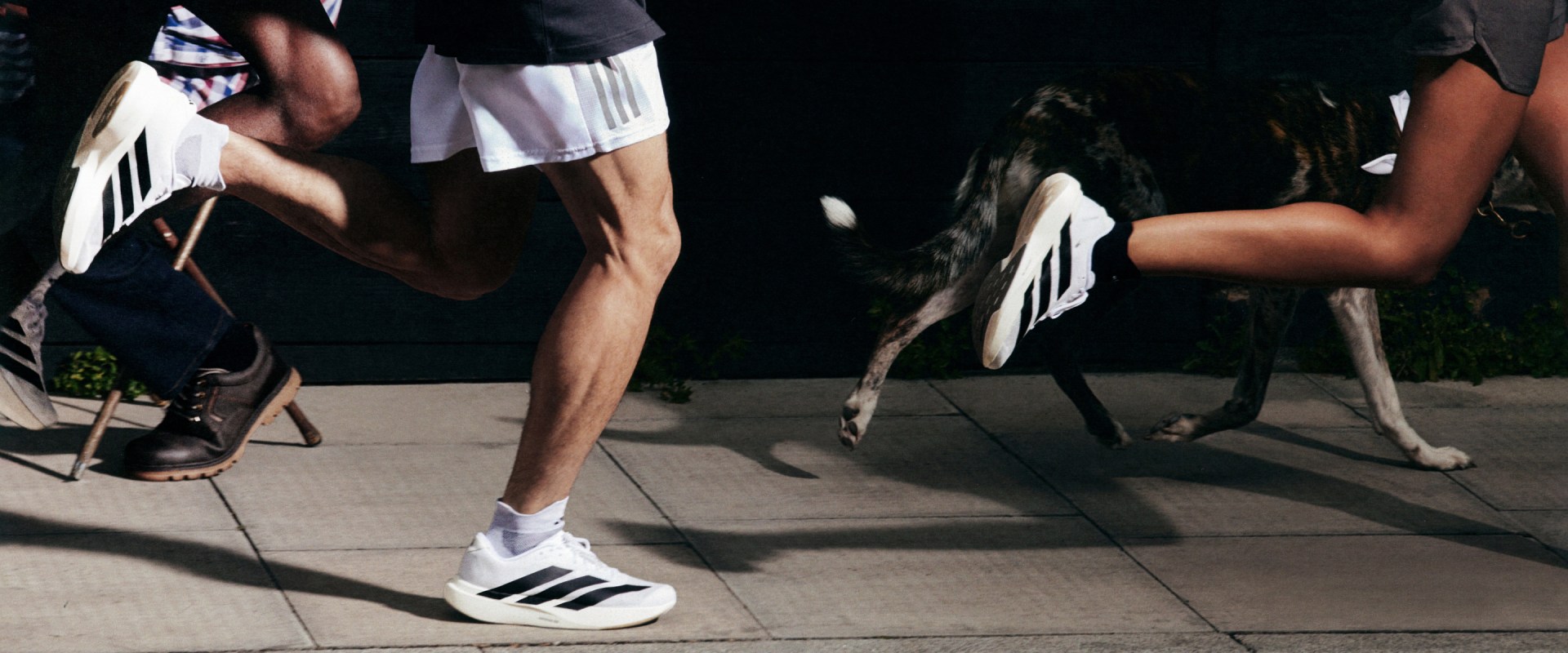 Sportswear Sneakers adidas Canada