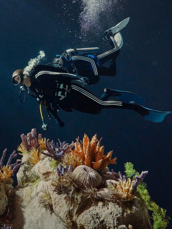 A scuba diver explores a vibrant underwater coral reef teeming with colorful marine life.