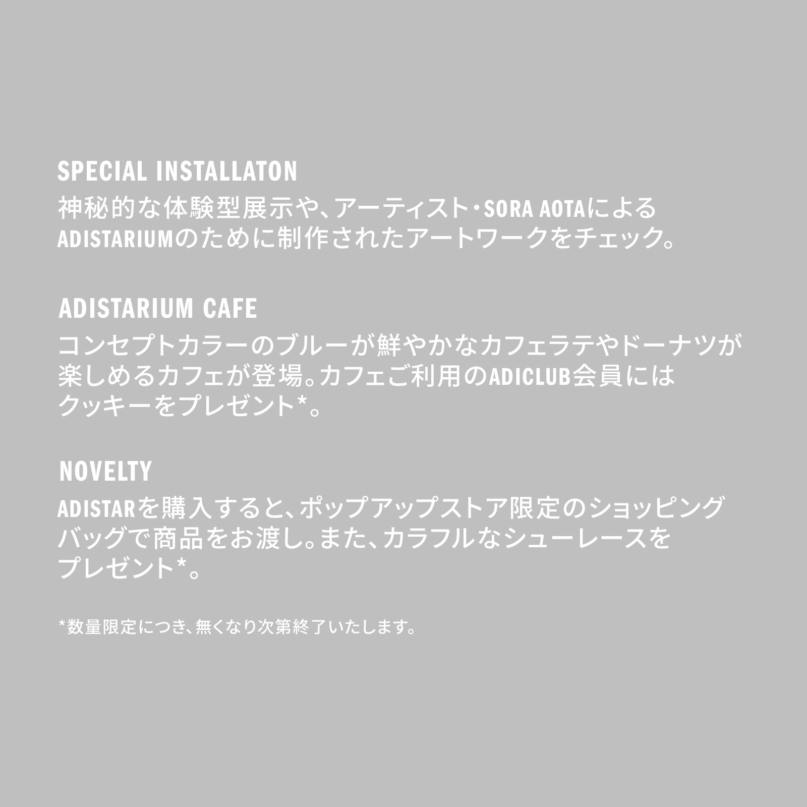The image displays text describing a "Special Installation" and an "Adistarium Cafe" along with a "Novelty" section, providing details about various features and offerings.