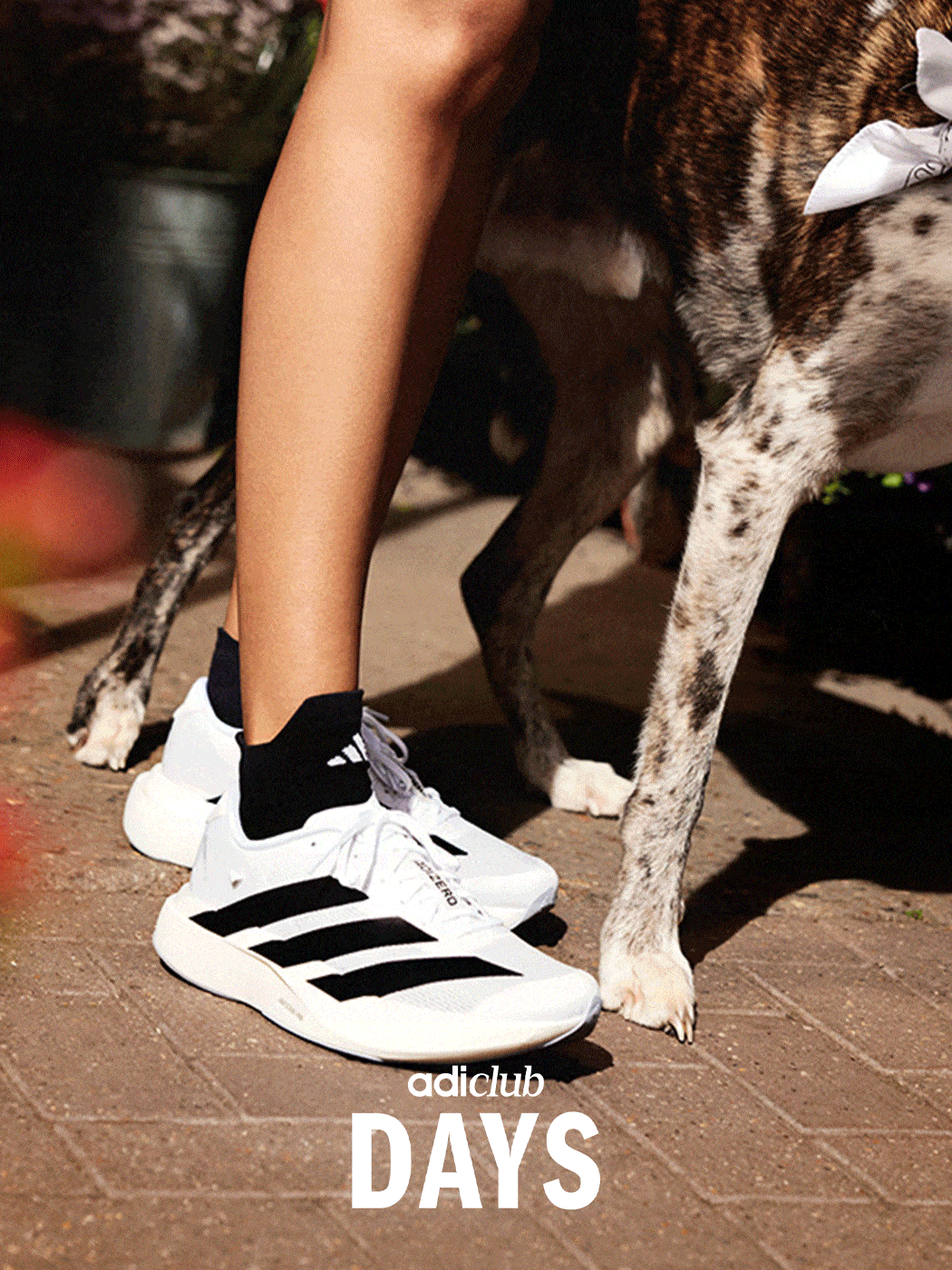 The image shows a person's legs and feet wearing white and black sneakers, with a dog's paws and legs visible in the background on a tiled floor.