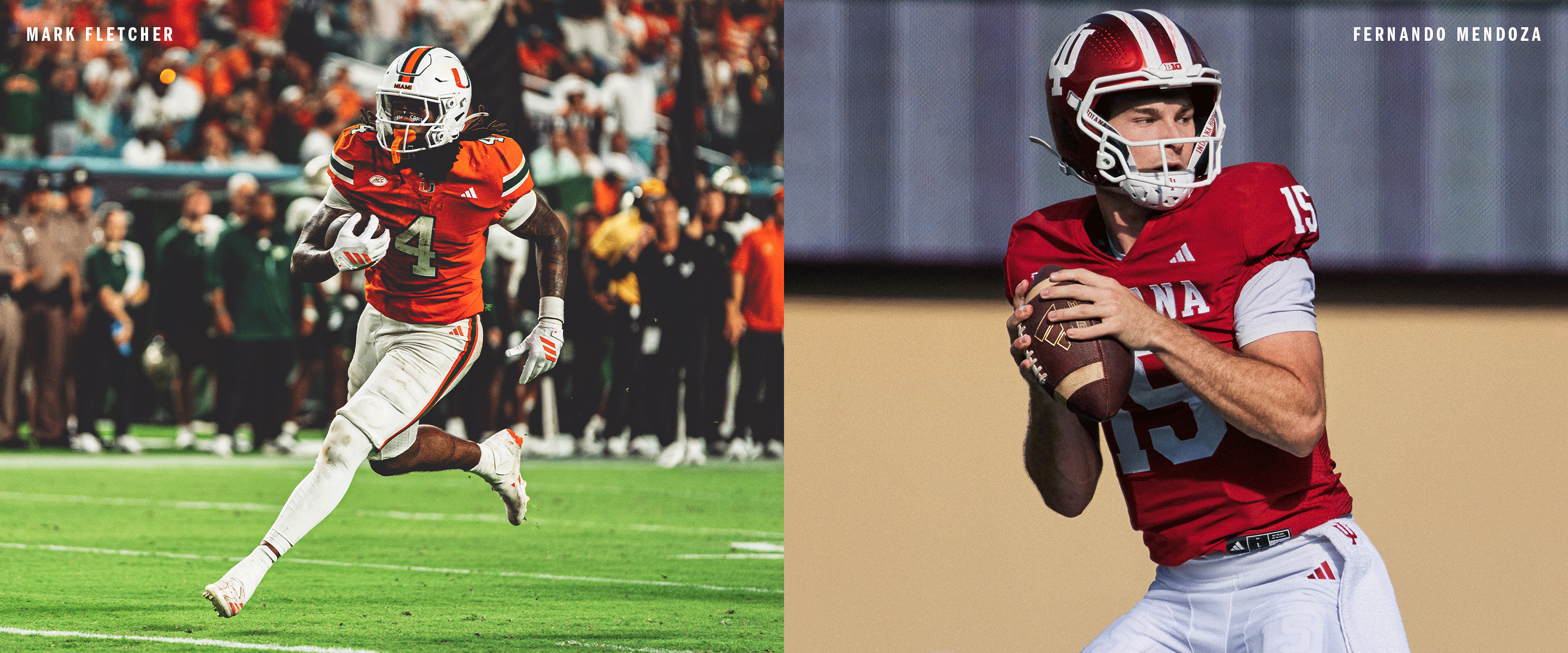 Better Post \u0026 Filter Widgets for Elementor – Extension WordPress |  WordPress.org Français, image size:2880x1200