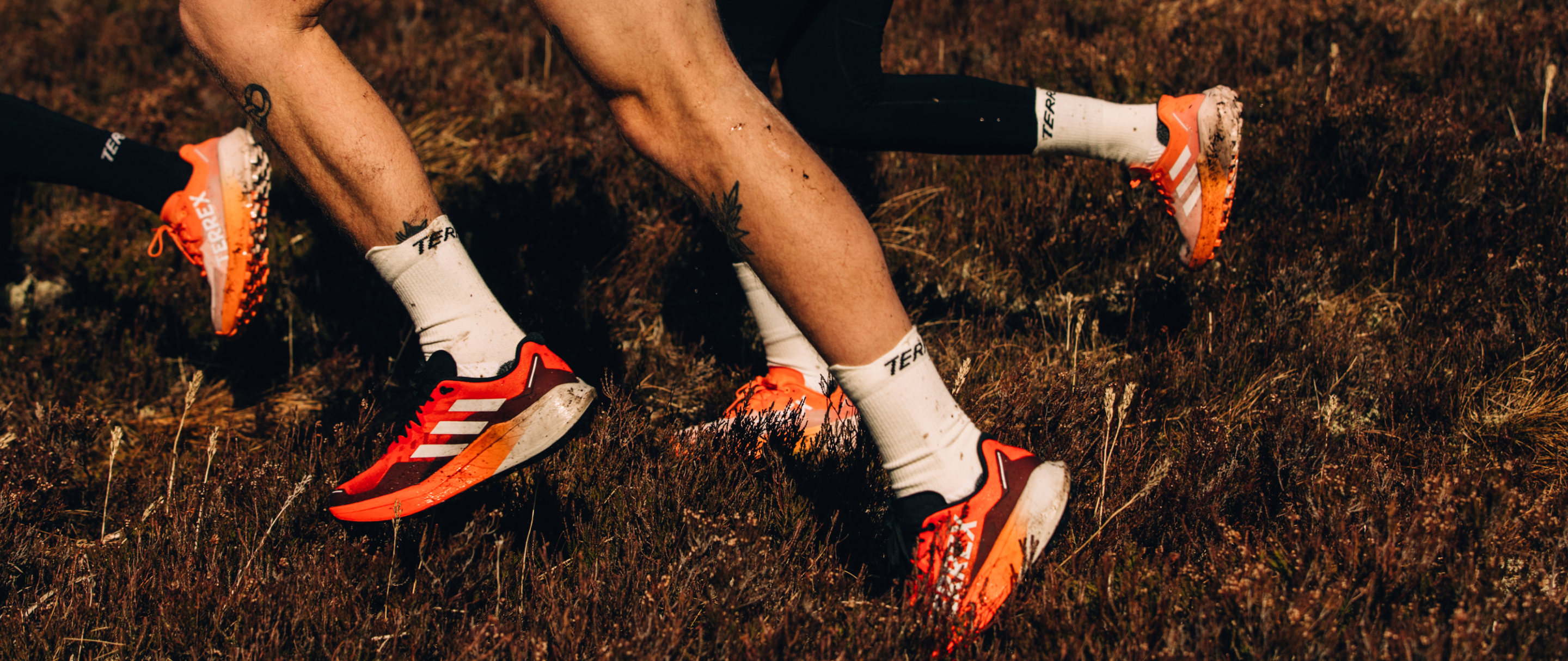 Closeup image of 3 runners in the Terrex Agravic 3 on rugged terrain