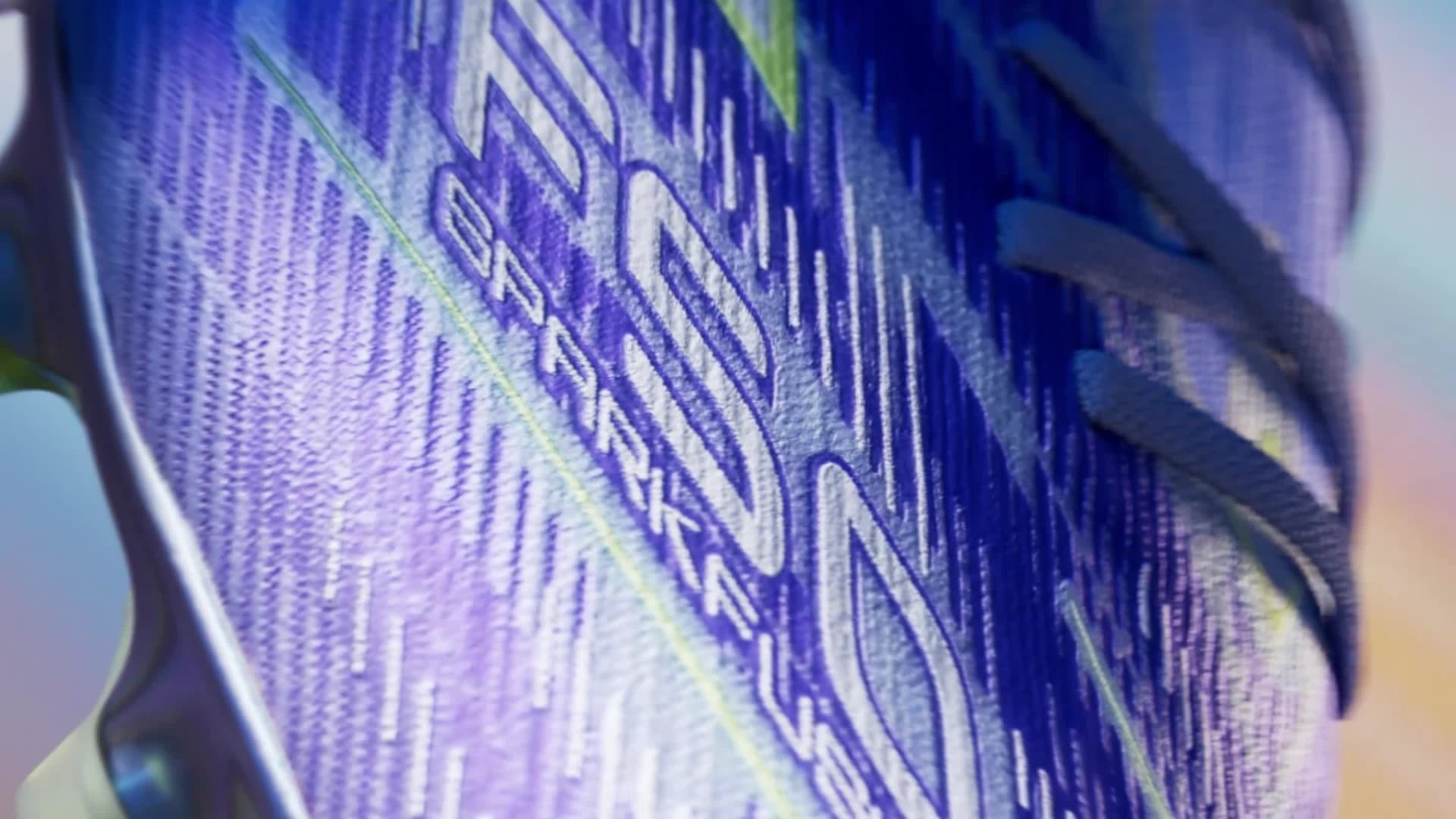 「蕗のファンタジー」　F50 蕗のファンタジー」 F50 FF-F.jpg