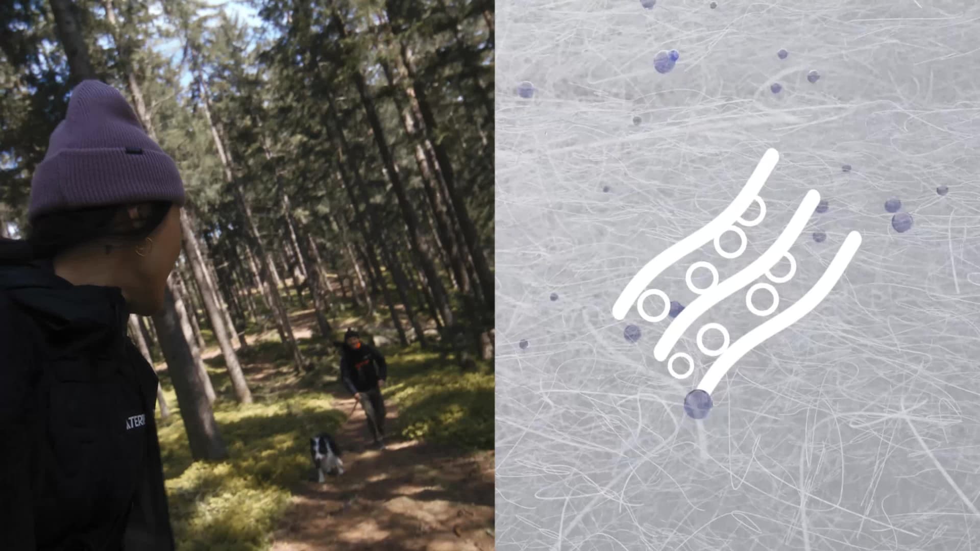 A snowy, blurred background with a small, white object in the foreground.