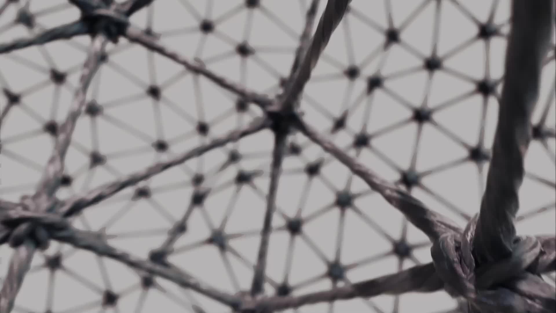 Video Launch Training Product Detail Page 2024 Fall Winter Statement Statement video