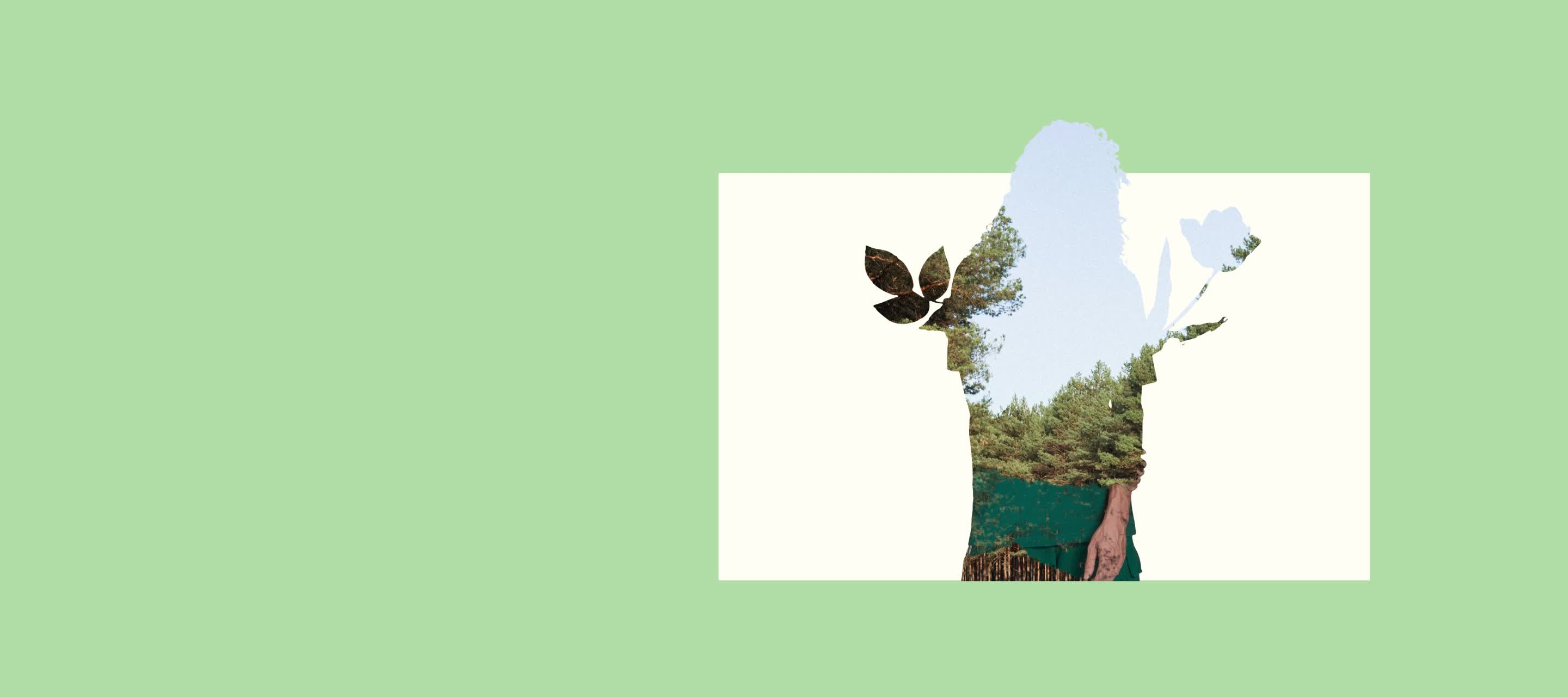 codigo promocional adidas pt